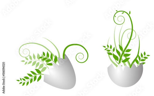 egg with growing grass
