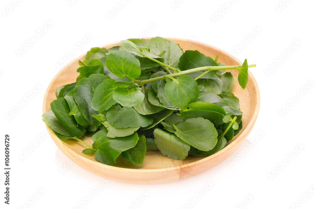 Fresh Watercress isolated on white background Fresh Watercress isolated on white background