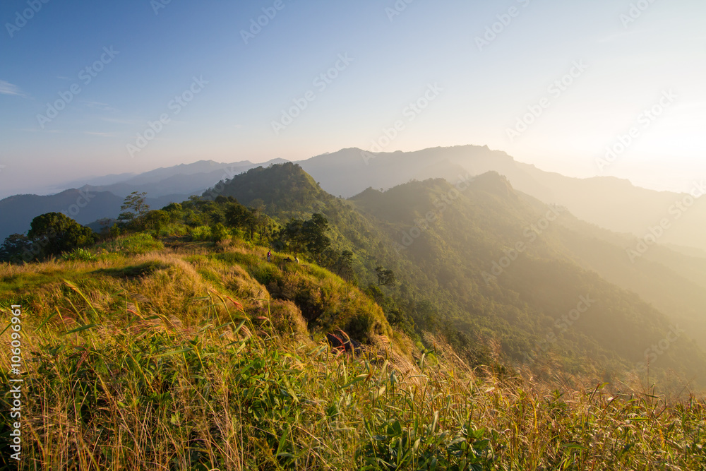 Fototapeta premium Sunrise with fog on mountain valley. Natural summer landscape