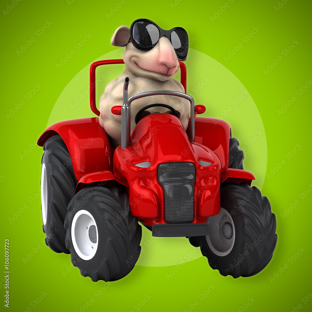 Obraz premium Fun sheep