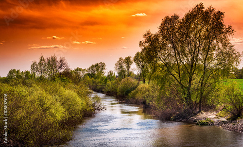 Landscape. The narrow river surrounded by trees. Sunset
