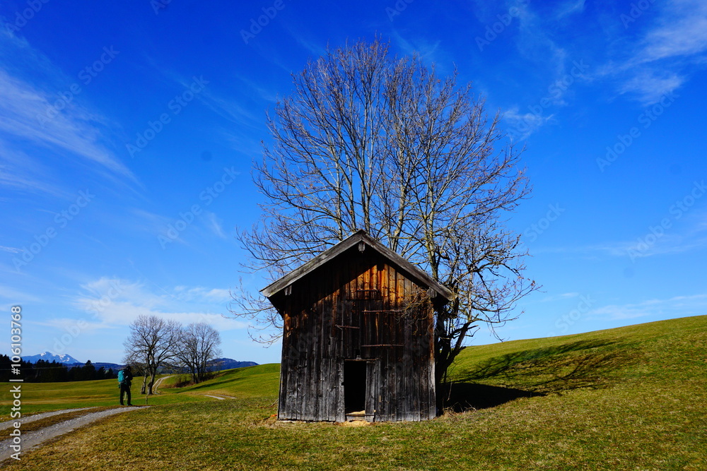 Fototapeta premium Landschaften in Ostallgäu