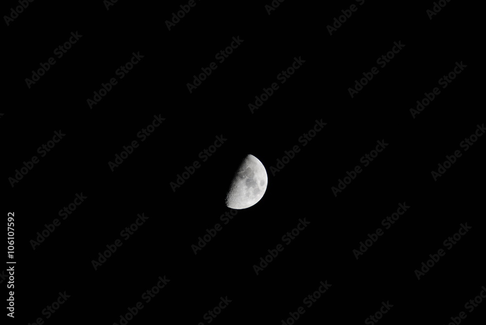 LUNA LUNA