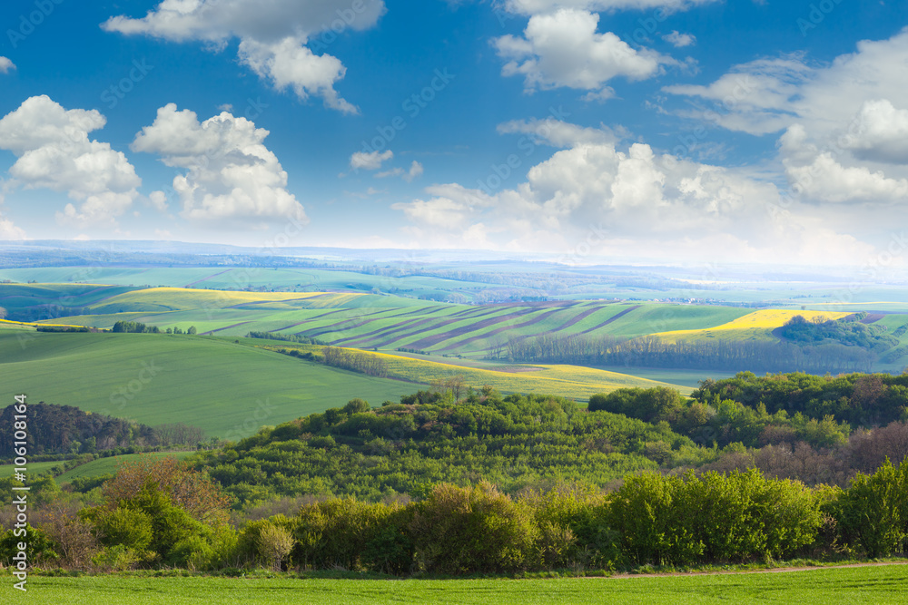 Сountryside  Fields and Blue Sky Landscape