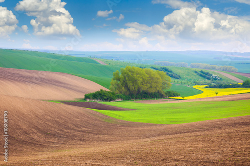 Spring Fields and Sky Background - beautiful nature landscape