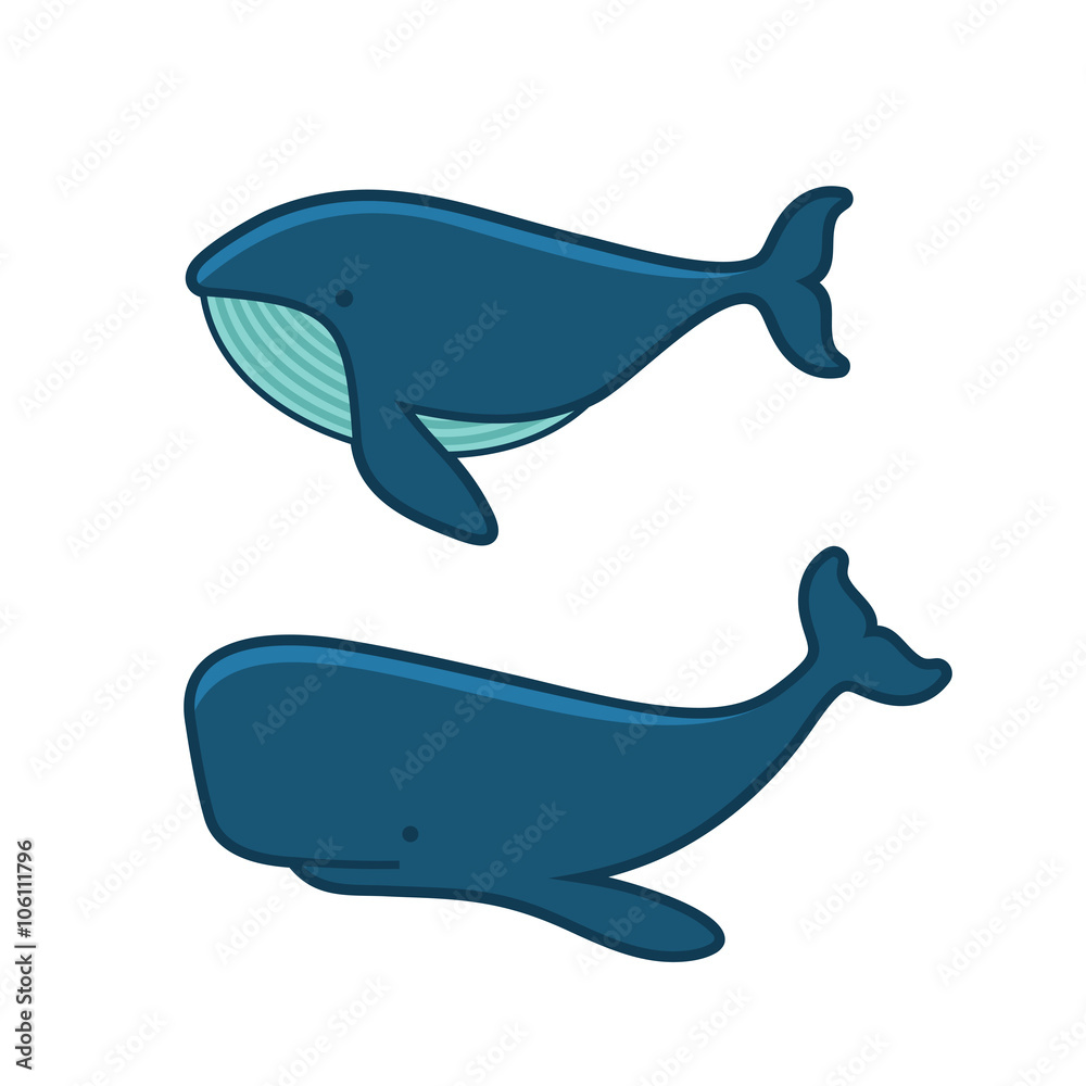 Whale Set. Cartoon Style on White Background. Vector Whale Set. Cartoon Style on White Background. Vector