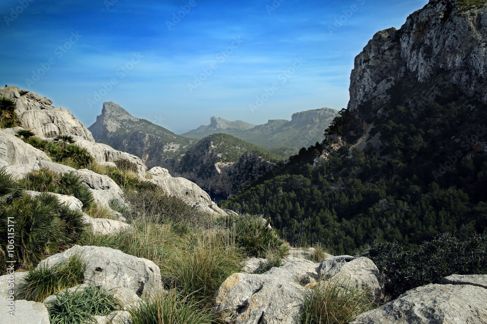 Majorca, Cap Formentor, wild landscape