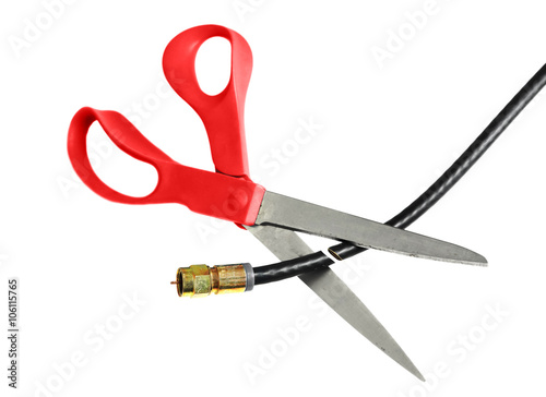 Vászonkép cut the cable cord