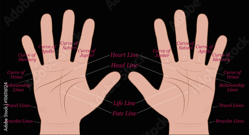 Palm reading - both hands with main and minor lines. Vector illustration on black background.
