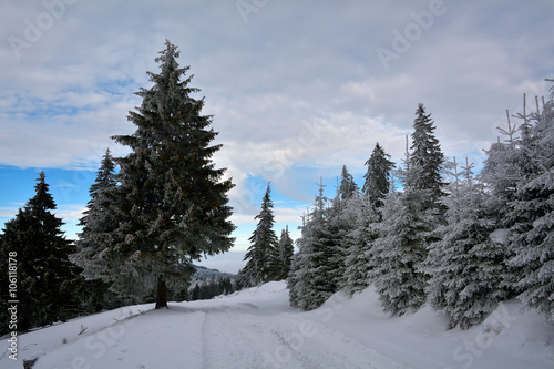 winter landscape in Romania