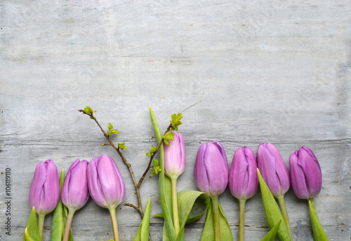 Fototapeta Naklejka Na Ścianę i Meble -  Old grey wooden background with purple white tulips,snowdrop and crocus summer spring decoration border in a line and empty copy space mock up layout