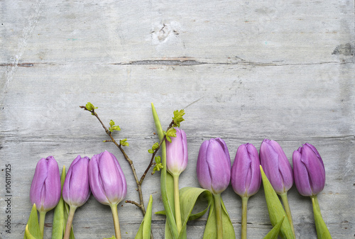 Fototapeta Naklejka Na Ścianę i Meble -  Old grey wooden background with purple white tulips,snowdrop and crocus summer spring decoration border in a line and empty copy space mock up layout