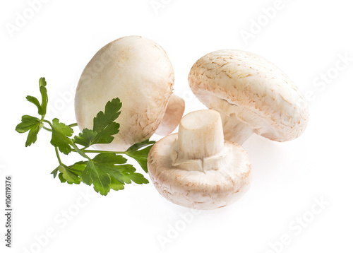 Mushrooms champignons with parsley isolated on white