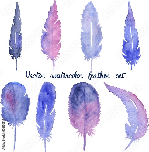 Set of vector watercolor hand drawn feathers