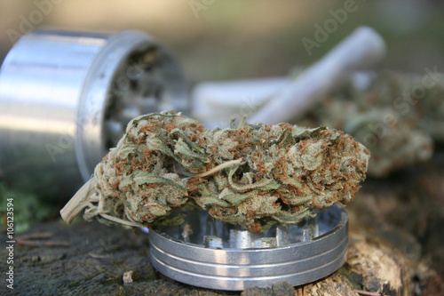 Marijuana Bud With Grinder 