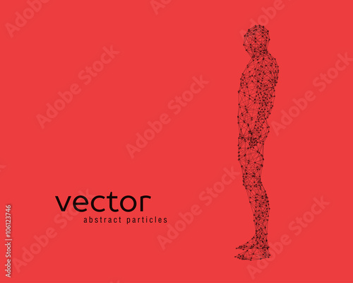 Vector illustration of human body