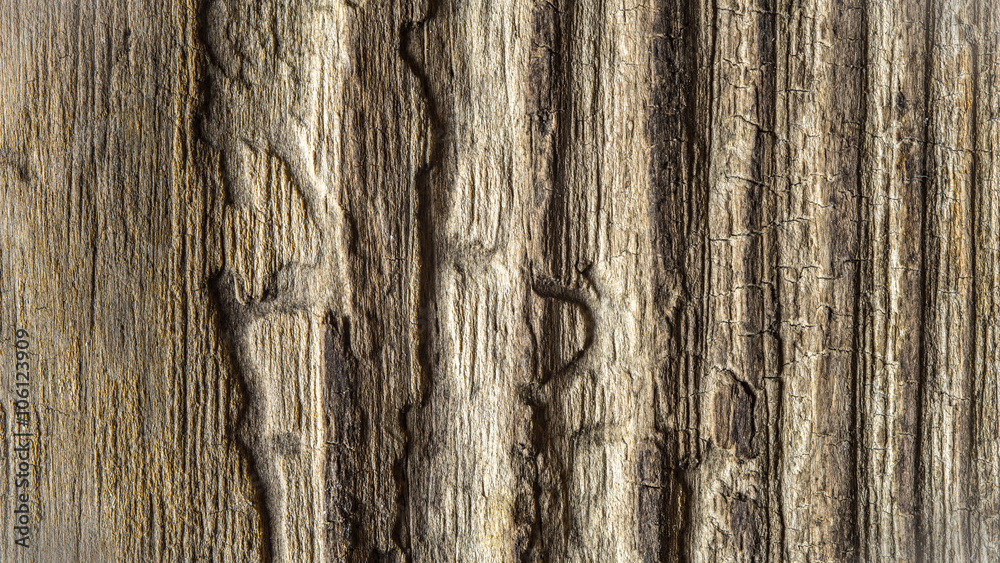 Obraz premium Relief wooden background horizontal