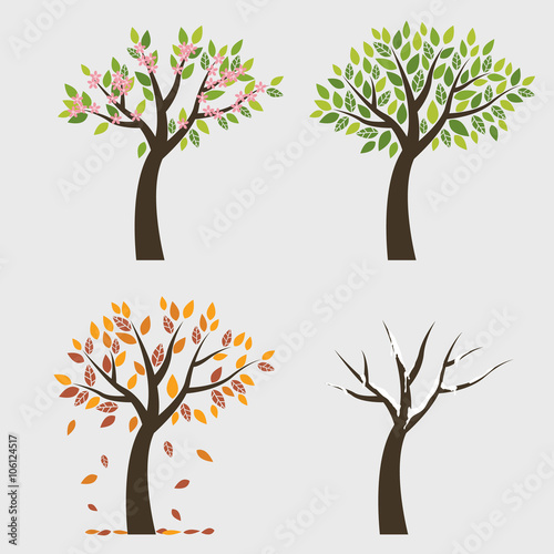 Tree 4 seasons (Spring, fall, winter and autumn)