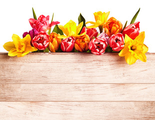 Fresh spring flowers forming a seasonal border
