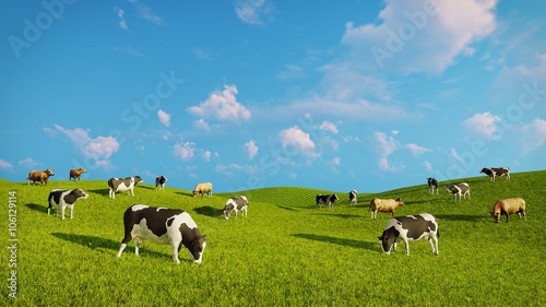 Herd of mottled dairy cows graze on a green pasture under blue cloudy sky at spring day. Realistic 3D illustration. photo