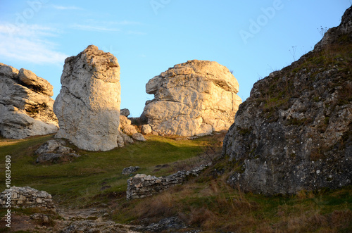 Obraz na płótnie Rocks and castle ruins (Olsztyn in Poland) w salonie