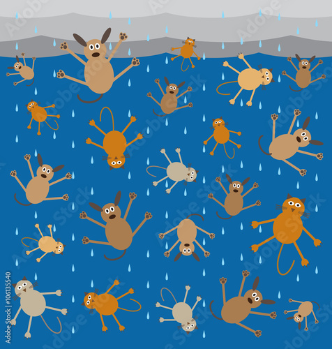 Storm is so severe it is raining cats and dogs