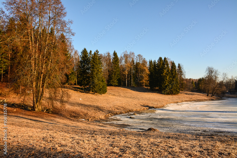 March morning in the Park of Pavlovsk. March morning in the Park of Pavlovsk.