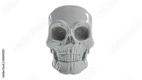 The skull on light background