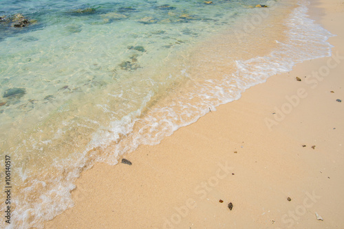 beach and tropical sea