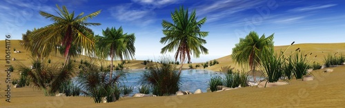 oasis in the desert, palm trees and lake