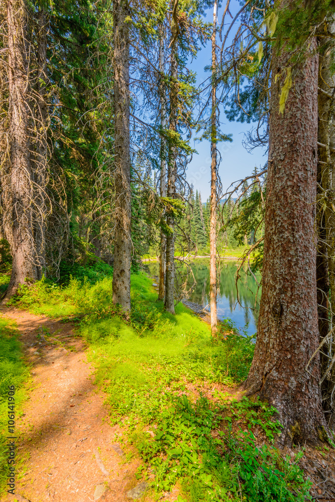 Obraz premium Beautiful Mountain Trail. Lightning Lake Trail at Manning Park in British Columbia. Canada.