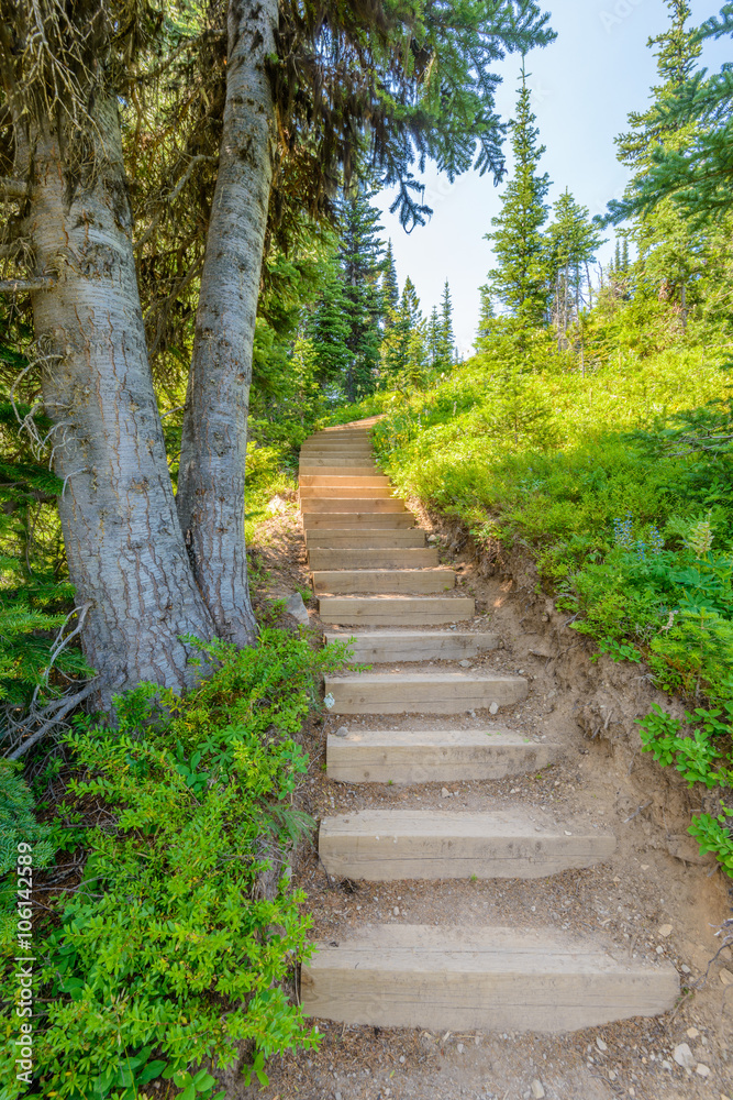 Obraz premium Schody na szlaku w Blackwall Peak Trail w Manning Park, Kolumbia Brytyjska, Kanada.