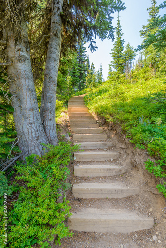 A stairs at trail in Blackwall Peak trail at Manning Park, British Columbia, Canada.