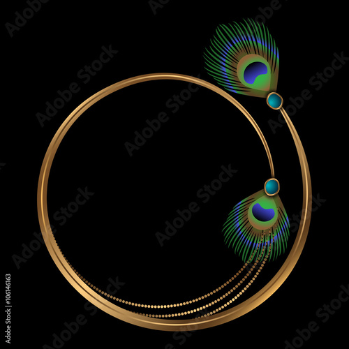 frame with peacock feathers and turquoise