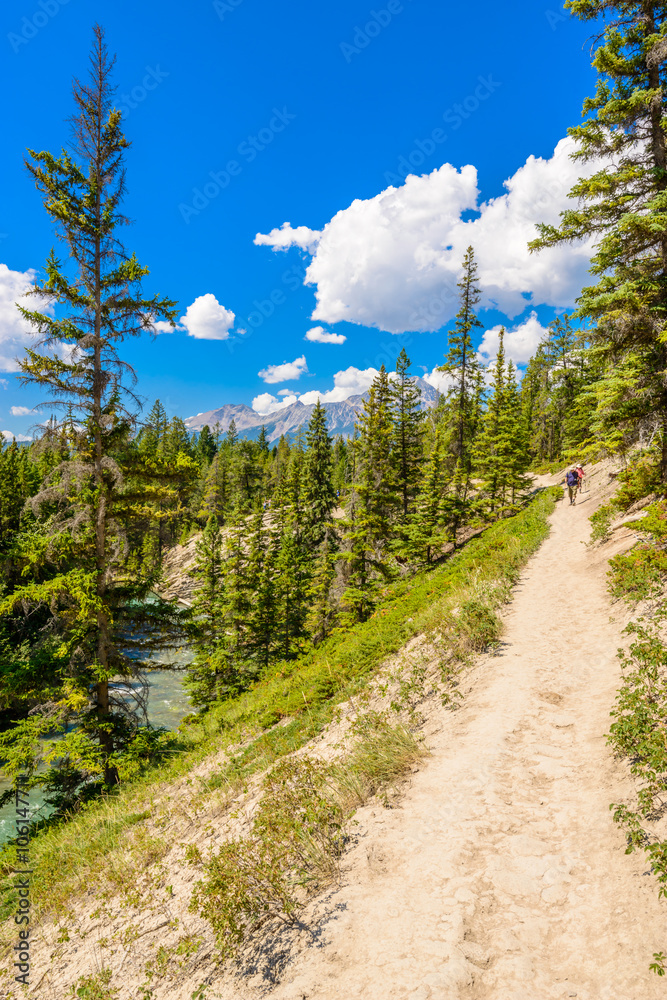 Fragment of Five Lakes trail in Jasper, Alberta, Canada.