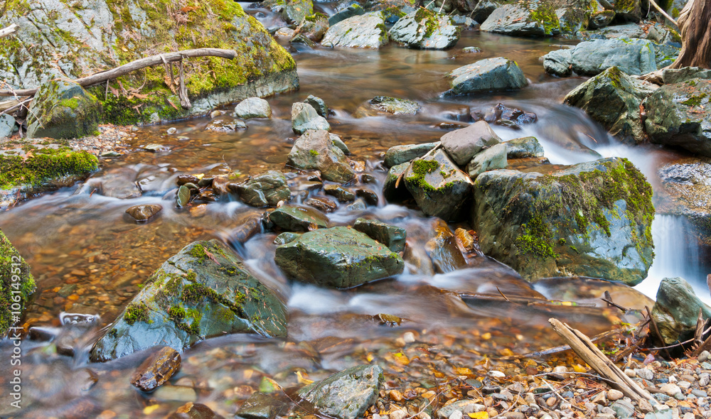 Obraz premium Mountain creek.