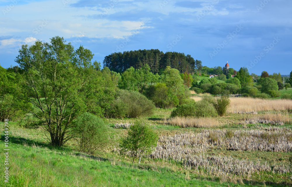 Wild spring landscape with marshland