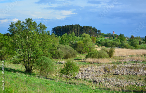 Wild spring landscape with marshland