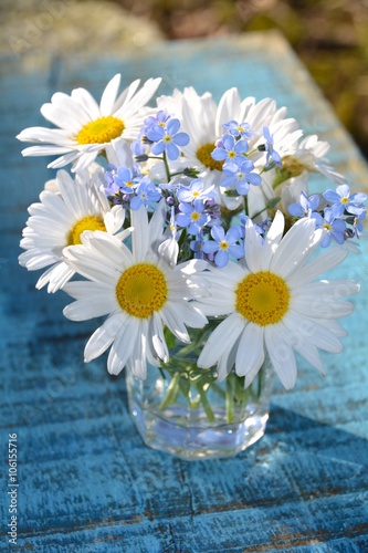 Fototapeta Naklejka Na Ścianę i Meble -  Gänseblümchen und Vergissmeinnicht  - Grußkarte Blumenstrauß Frühling