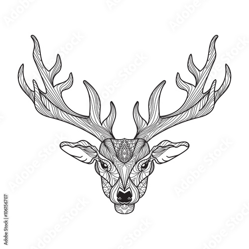 Deer head with horns