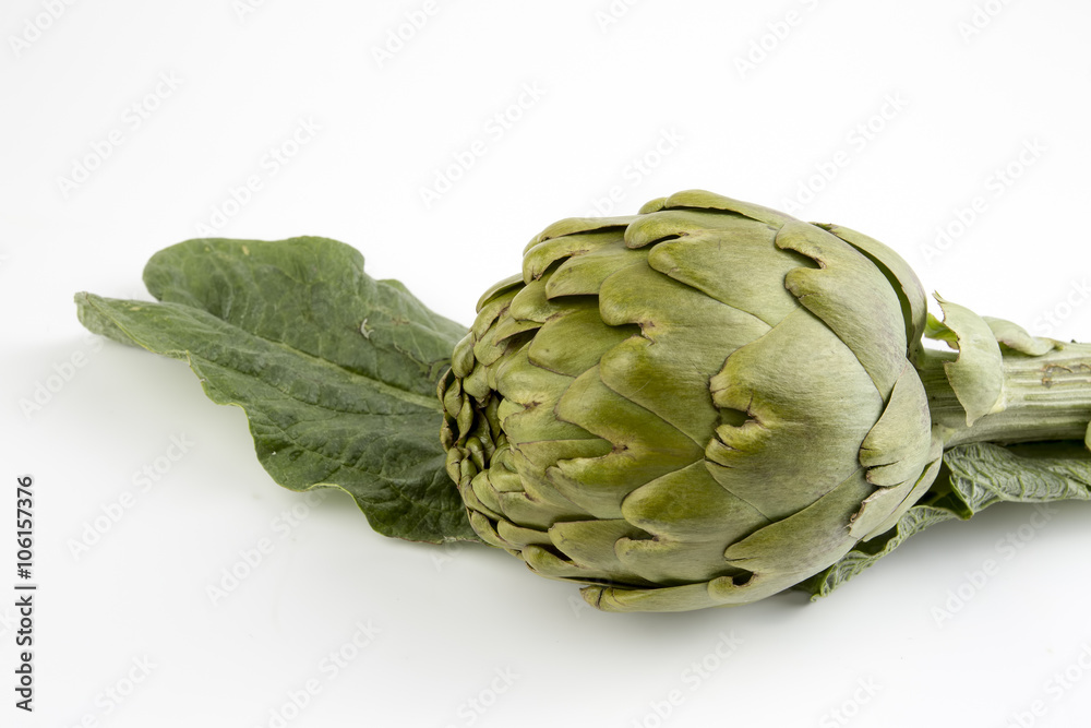 Obraz premium Enginar