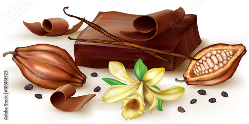 Vanilla chocolate and cocoa fruit