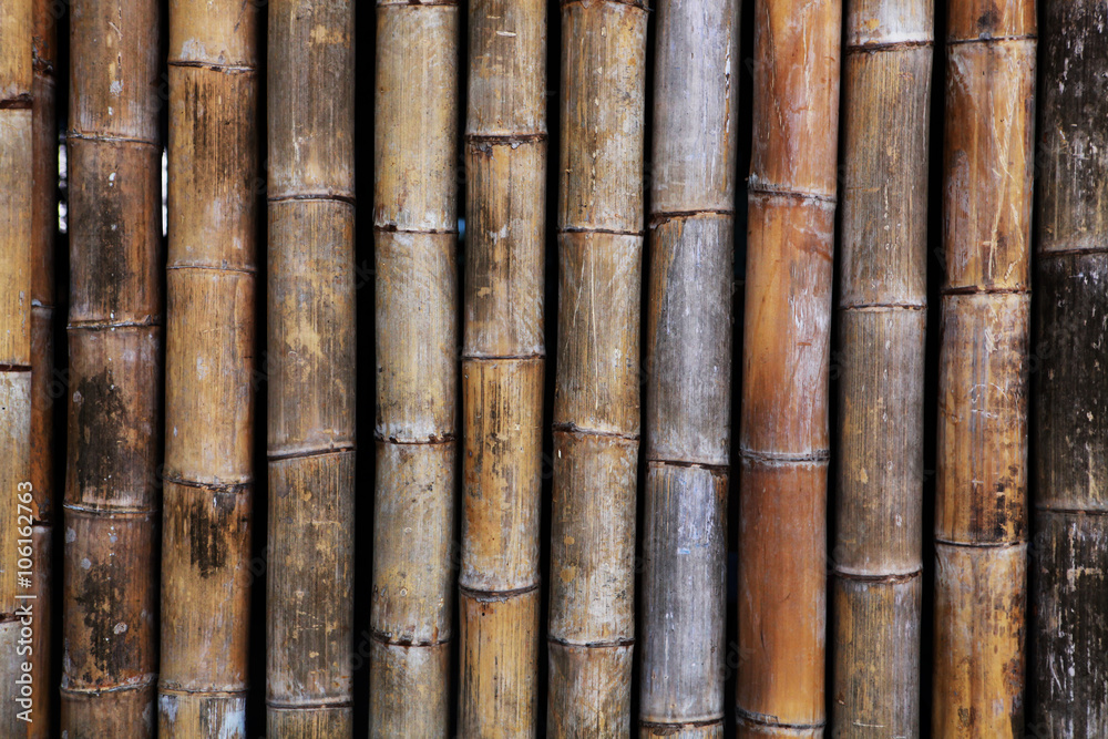 old bamboo texture old bamboo texture