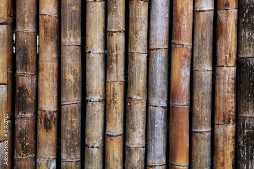 old bamboo texture