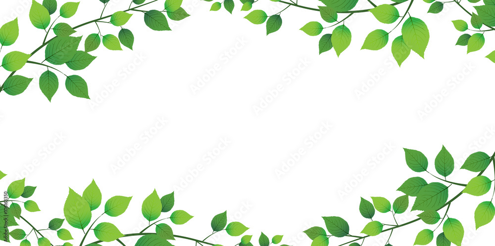 葉 新緑 木 背景 葉 新緑 木 背景