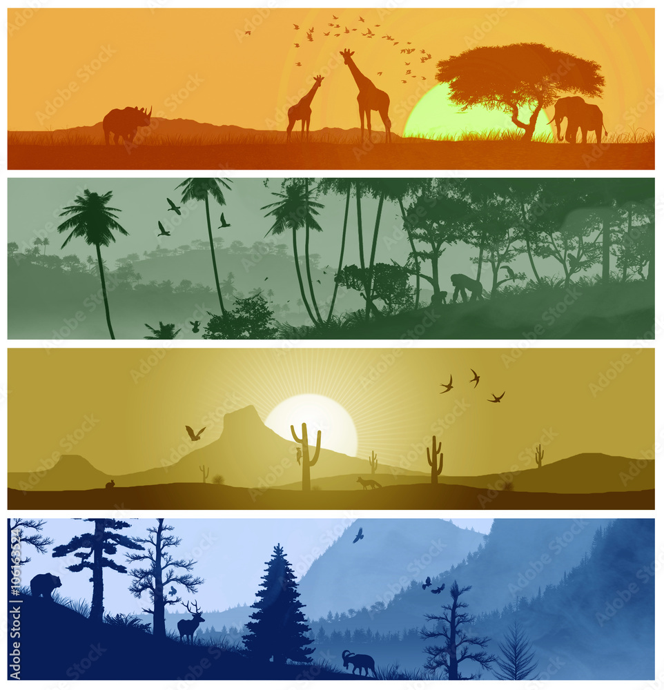 4 different habitats, savanna, tropical rain forest, desert and