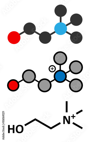 Choline essential nutrient molecule.
