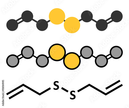 Diallyl disulfide garlic molecule. 