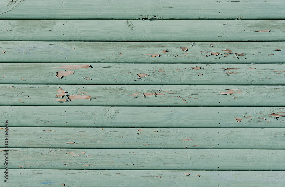 Fototapeta premium Section of green panelling from a beach hut, suitable for backgrounds of beach, seaside and summer holiday themes. Also gardening themes.