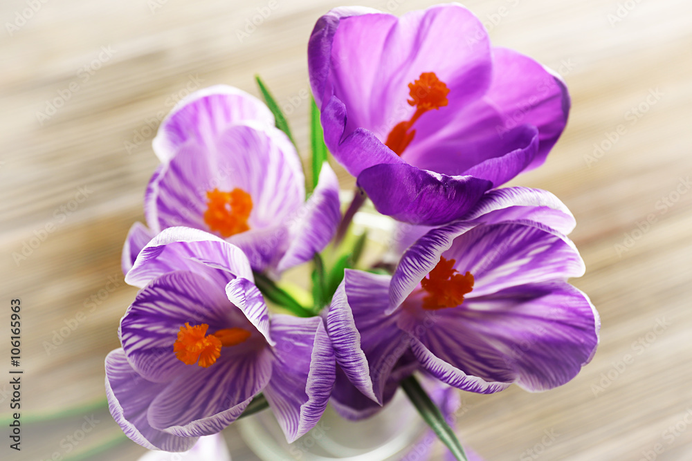 Fototapeta premium Beautiful crocus flowers in glass vase on wooden table closeup